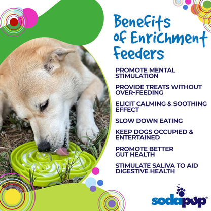 Water Frog eTray - Shallow Slow Feeder Dog Bowl for Enrichment | USA Made